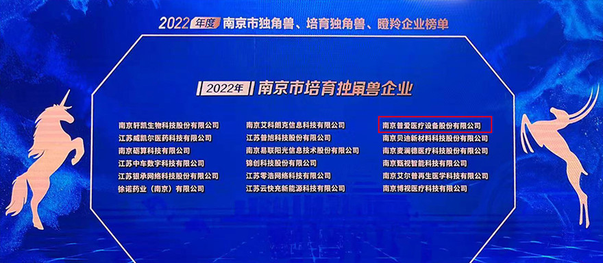 2022年南京市培育獨角獸企業(yè)名單